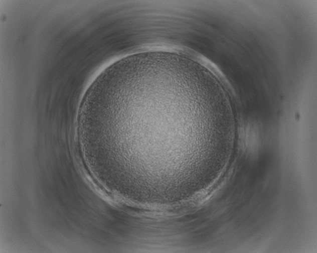 X0000081321236200701111325