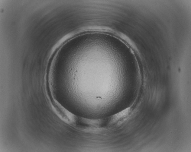 X0000081321237200701111325
