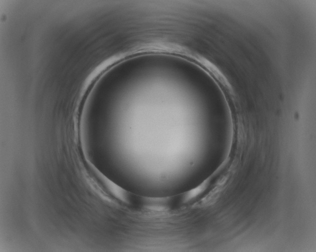 X0000081321238200701111325