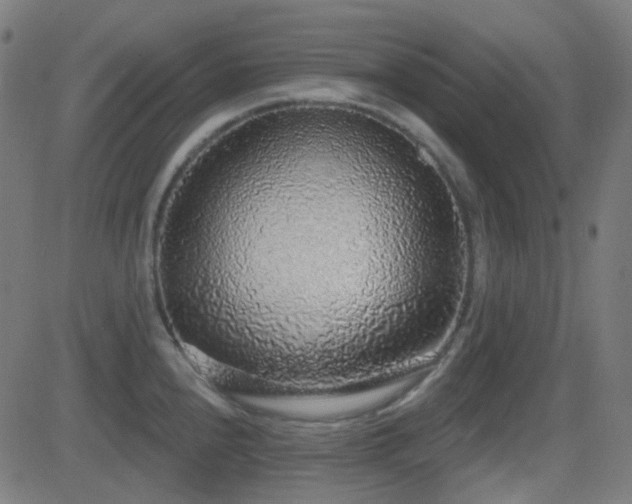 X0000081321240200701111325
