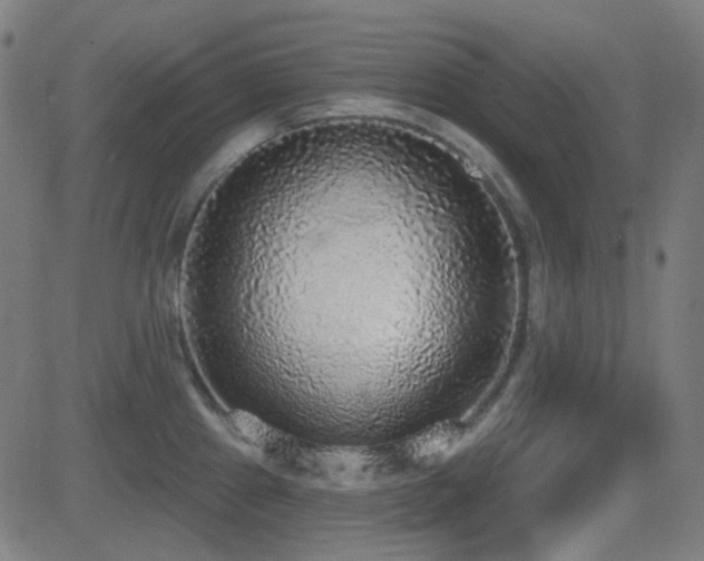 X0000081321241200701111325