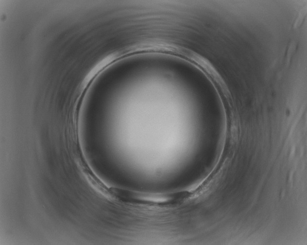 X0000081321242200701111325