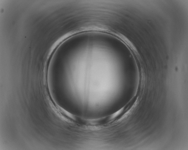 X0000081321246200701111325