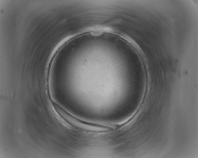 X0000081321248200701111325
