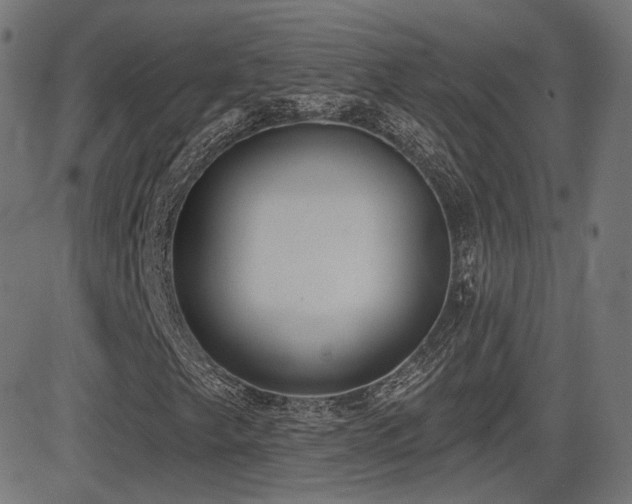 X0000081321249200701111325