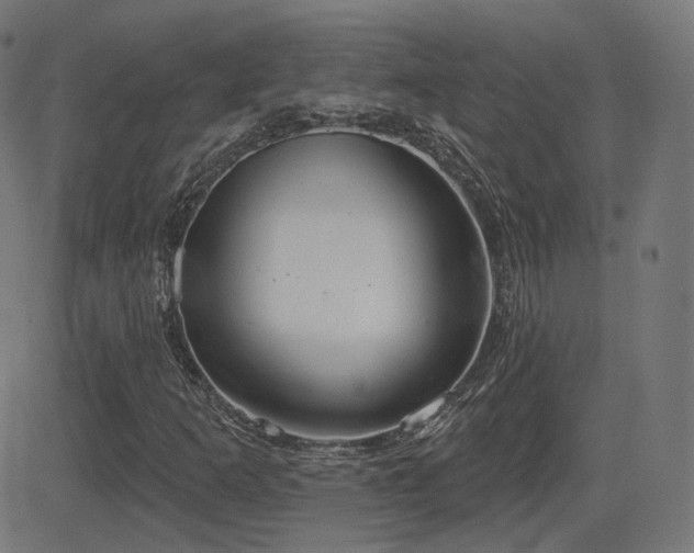 X0000081321253200701111324