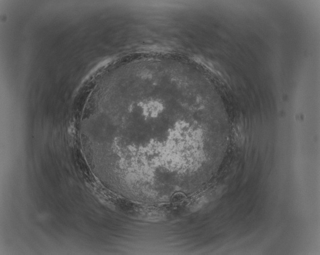 X0000081321254200701111324