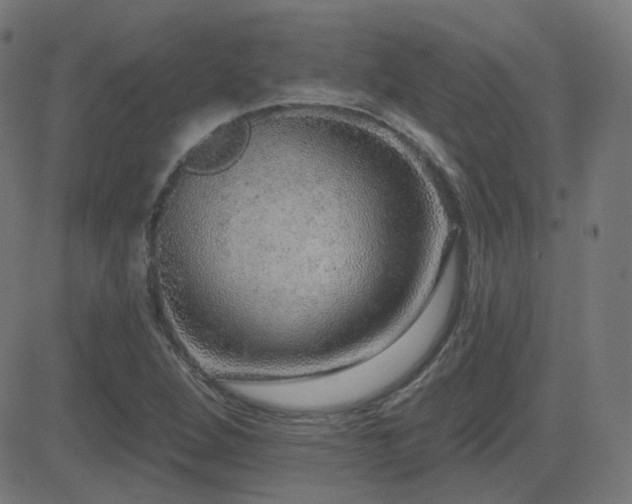 X0000081321264200701111324