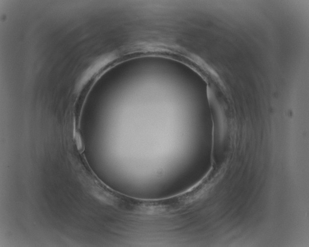 X0000081321269200701111324