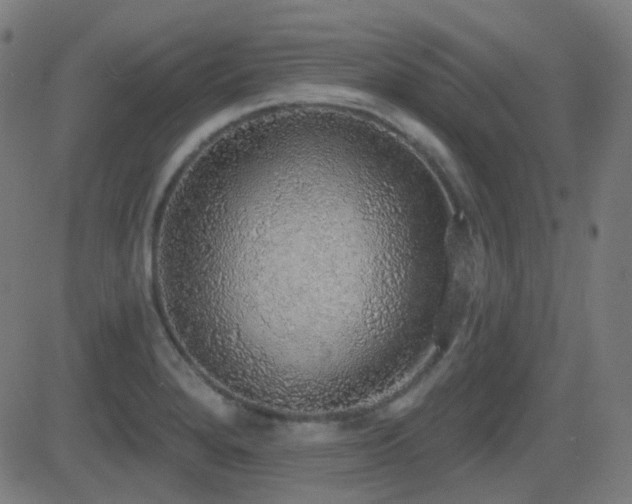 X0000081321280200701111324