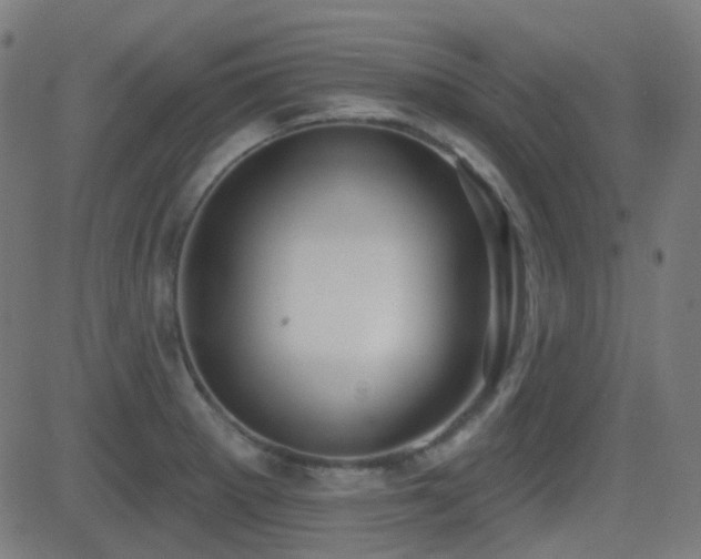 X0000081321281200701111324