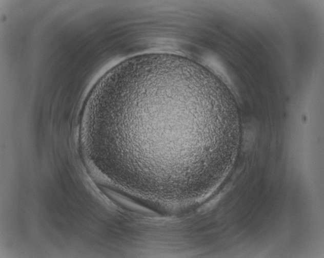 X0000081321284200701111324