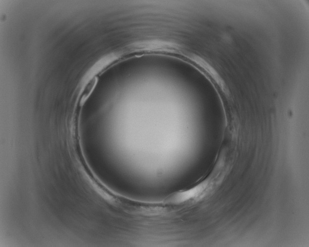 X0000081321285200701111324