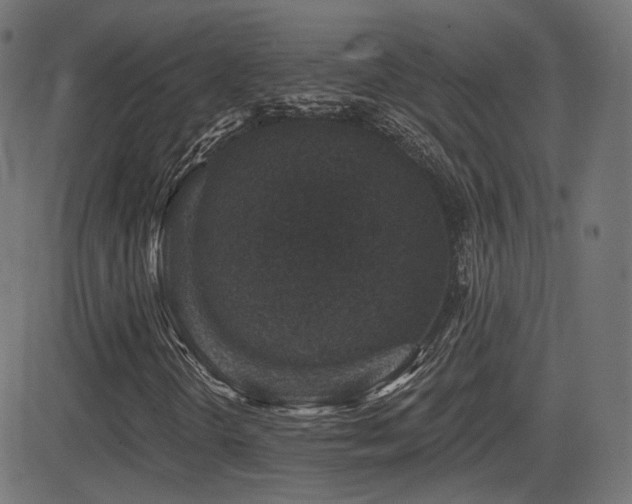 X0000081321298200701111323