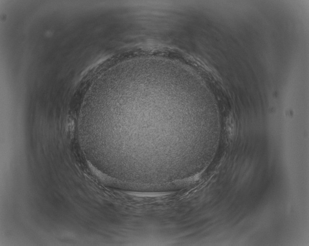 X0000081321302200701111323