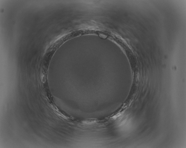 X0000081321303200701111323
