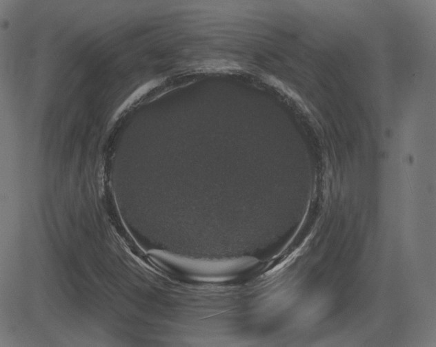 X0000081321306200701111323