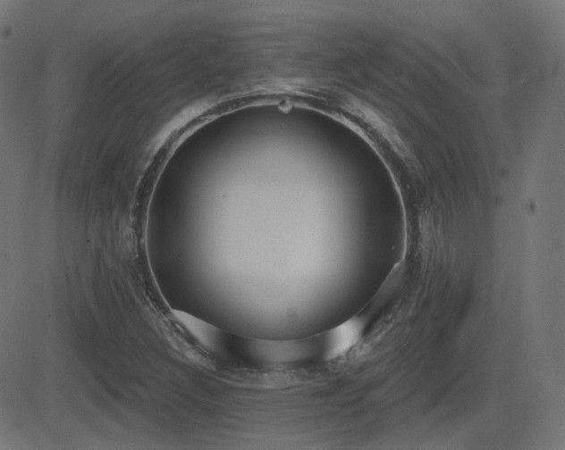 X0000081321308200701111323