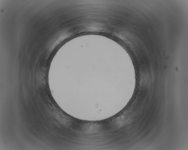 X0000081321314200701111323