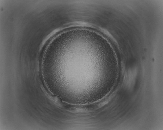 X0000081321318200701111323