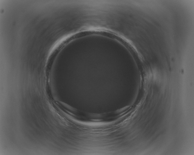 X0000081321319200701111323