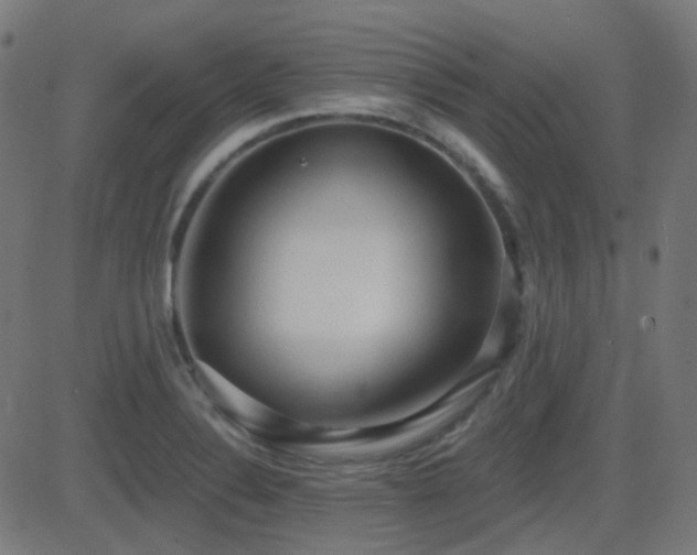 X0000081321324200701111323