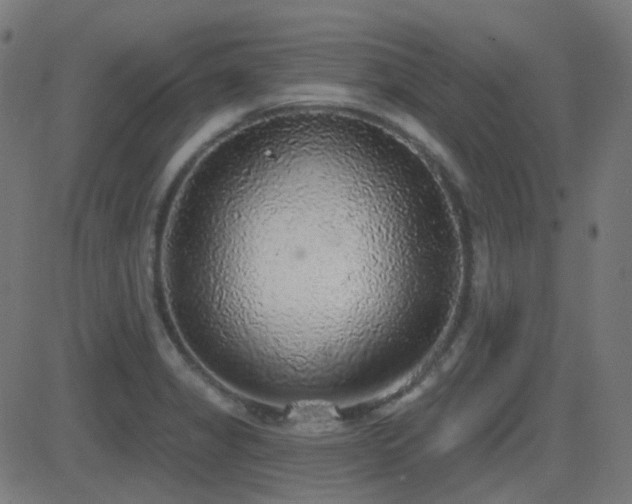 X0000081321325200701111323