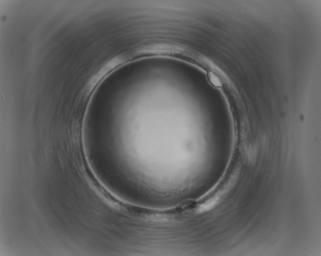 X0000081321329200701111324