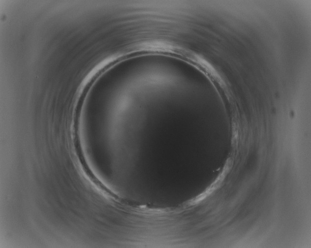 X0000081321331200701111324