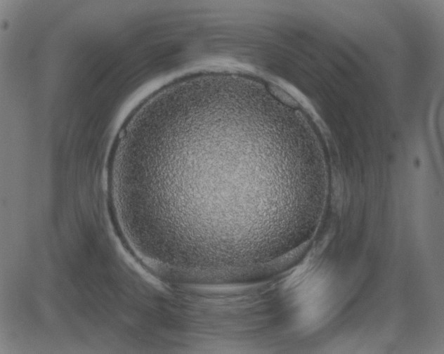 X0000081321335200701111324