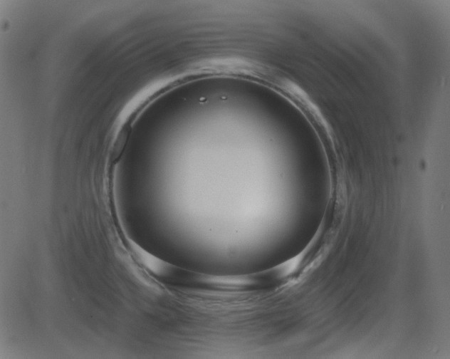 X0000081321336200701111324