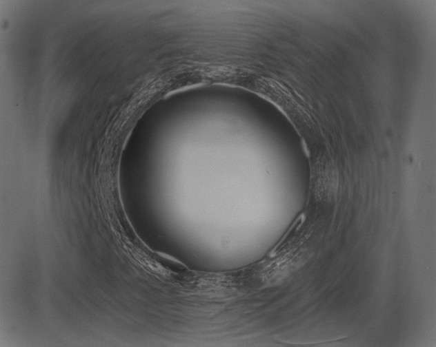 X0000081321345200701111323