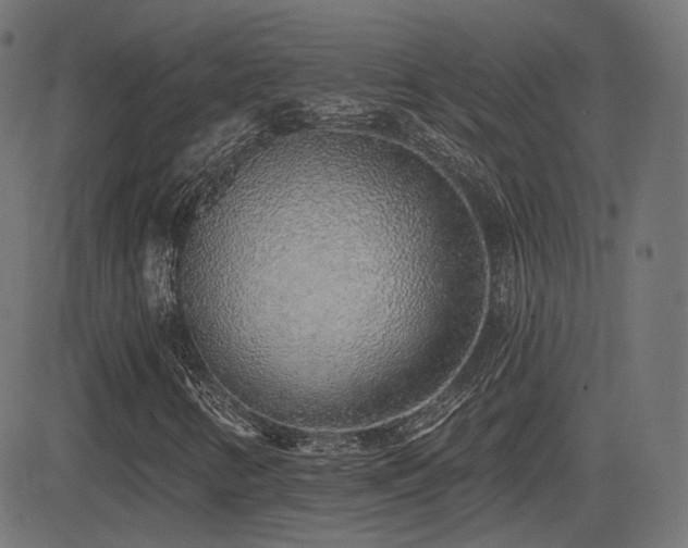 X0000081321346200701111323