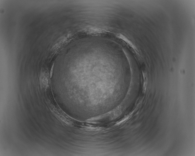 X0000081321348200701111323