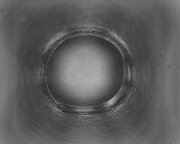 X0000081321352200701111323