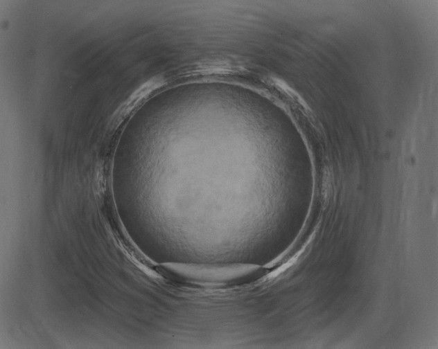 X0000081321353200701111323