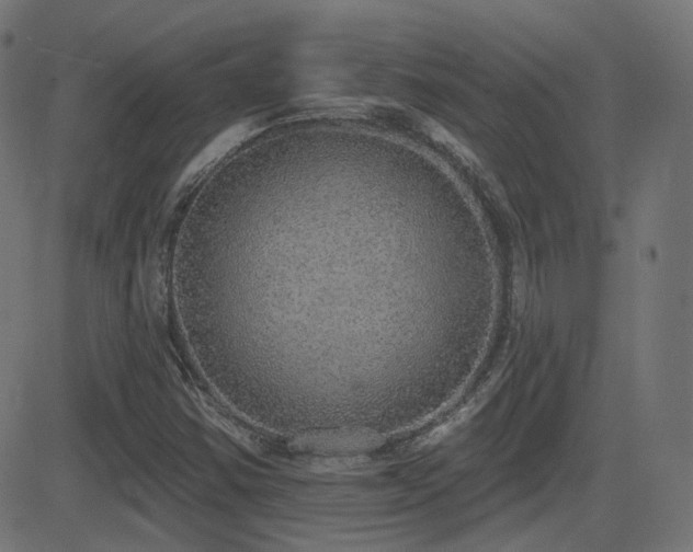 X0000081321354200701111323