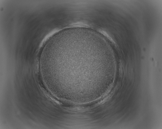 X0000081321358200701111323
