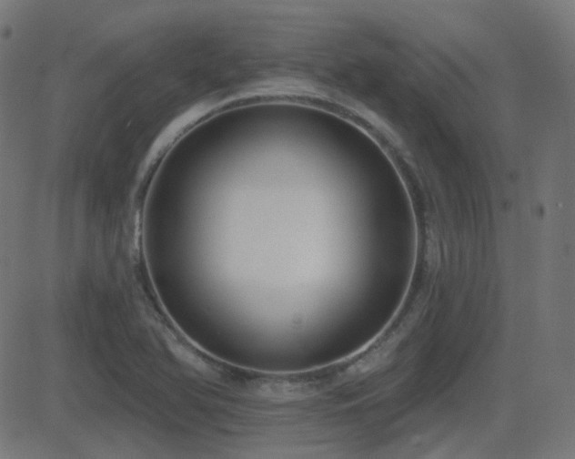 X0000081321366200701111323