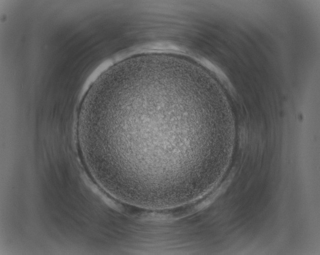 X0000081321374200701111322