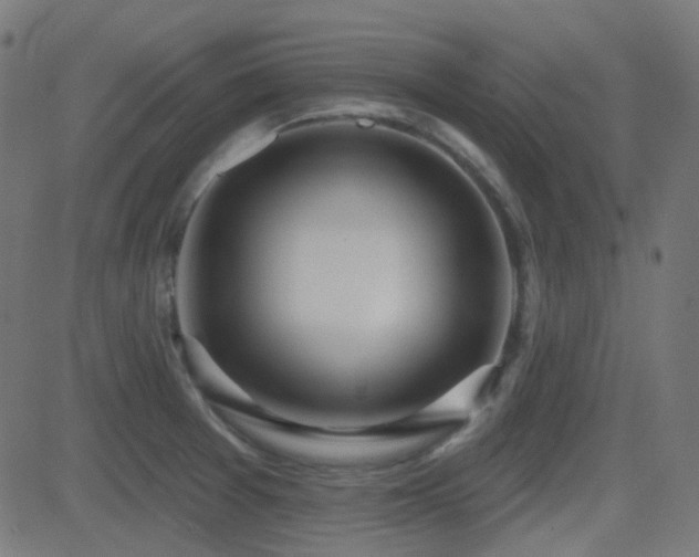 X0000081321377200701111322