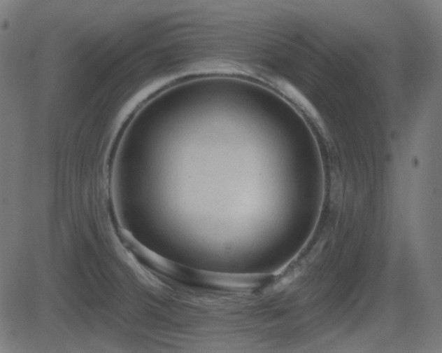 X0000081321380200701111322