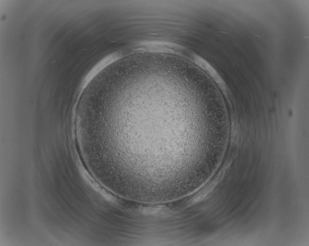 X0000081321386200701111322