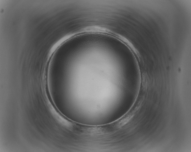 X0000081321387200701111322