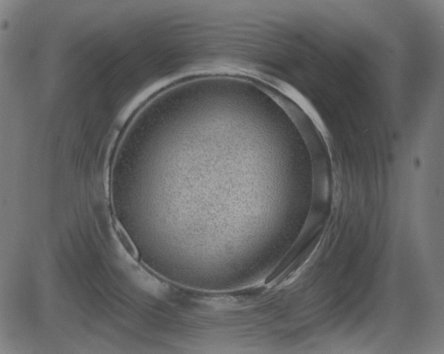 X0000081321388200701111322