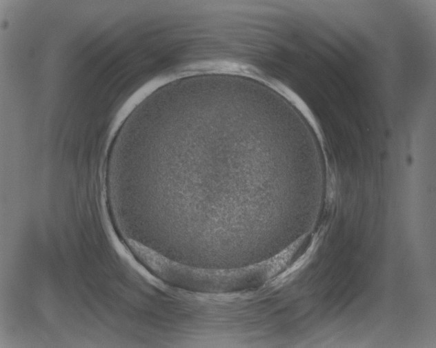 X0000081321389200701111322