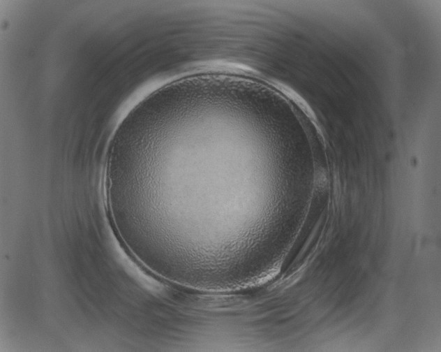 X0000081321391200701111322