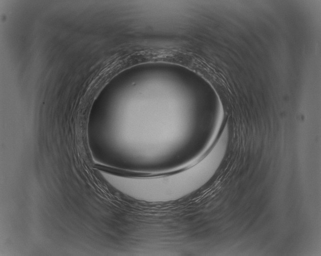 X0000081321393200701111321