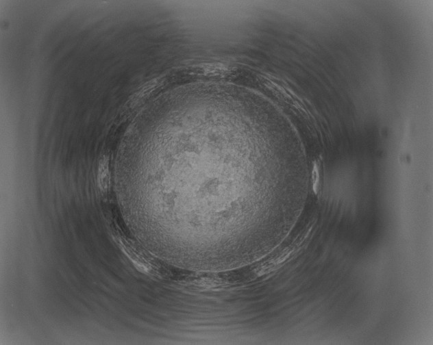 X0000081321395200701111321