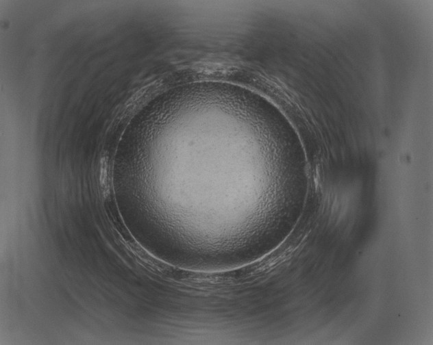 X0000081321396200701111321